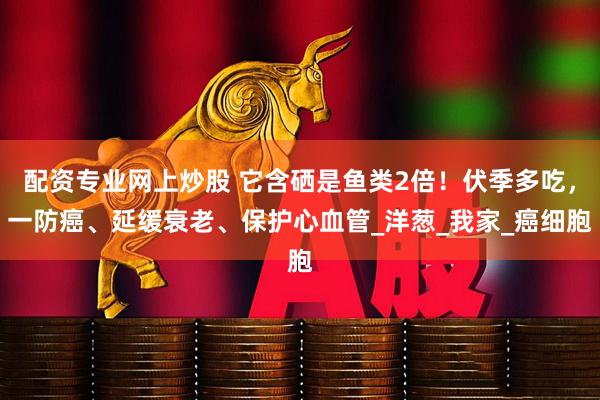 配资专业网上炒股 它含硒是鱼类2倍！伏季多吃，一防癌、延缓衰老、保护心血管_洋葱_我家_癌细胞